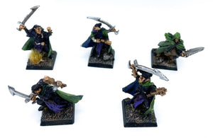 Warhammer Fantasy/AoS Dunkelelfen aus Zinn detailliert bemalt - Tabletoploot