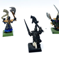 Warhammer Fantasy/AoS Dunkelelfen aus Zinn größtenteils bemalt - Tabletoploot