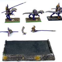 Warhammer Fantasy/AoS Dunkelelfen Echsenreiter aus Zinn sehr detailliert bemalt Games Workshop