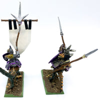 Warhammer Fantasy/AoS Dunkelelfen Echsenreiter aus Zinn sehr detailliert bemalt Games Workshop