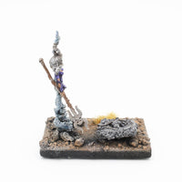 Warhammer Fantasy/AoS Dunkelelfen Zauberin aus Zinn sehr detailliert bemalt Games Workshop